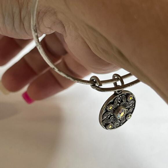 Alex & Ani burnished gray silver tone bracelet WINGS OF CHANGE bangle - Picture 7 of 9